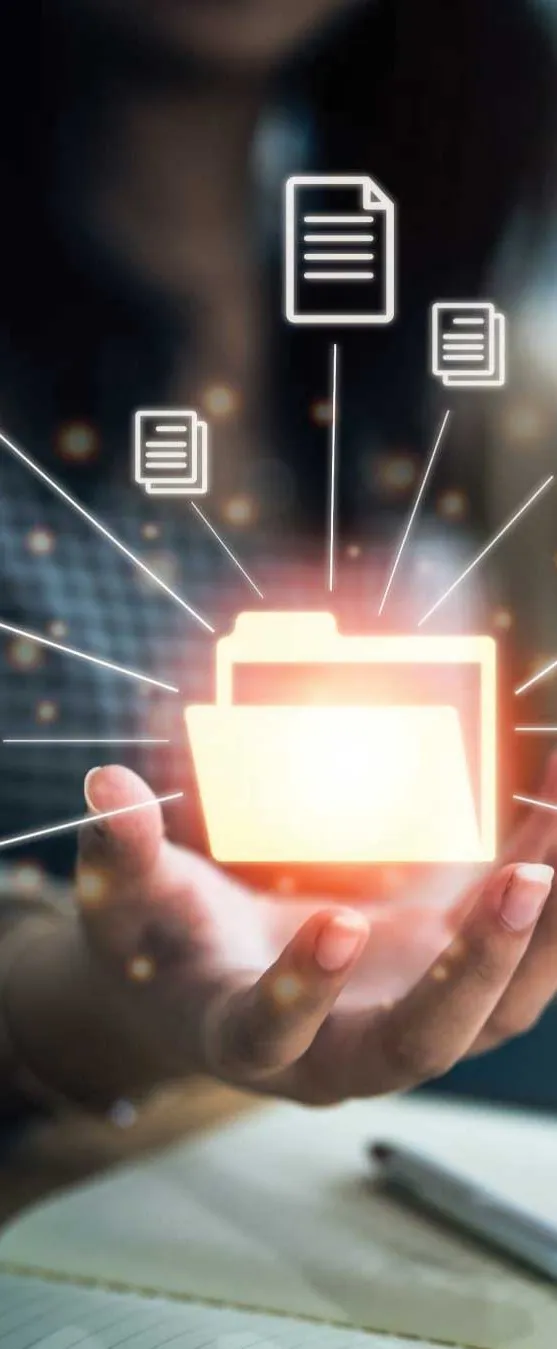 Prospective customer and partner database — importers, wholesalers, resellers, and end-users in North America