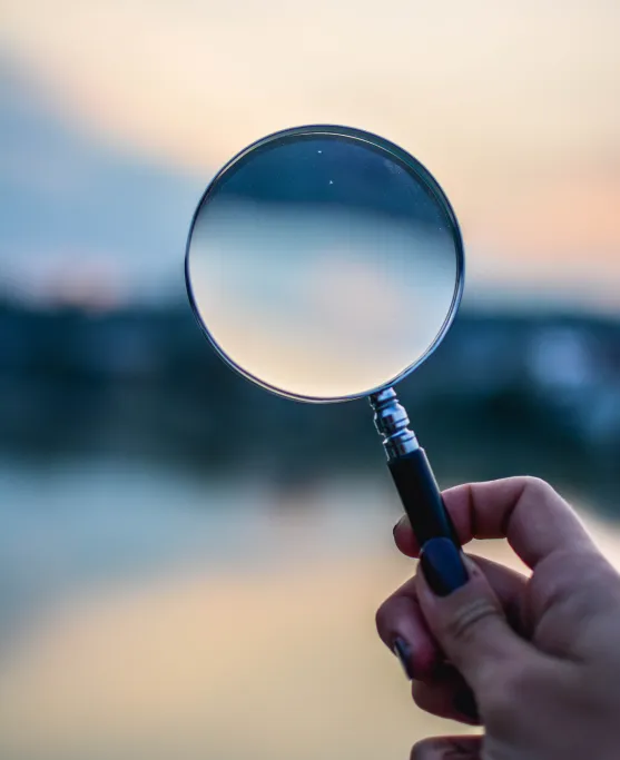 Market research and analysis for Scandinavian companies entering the North American market